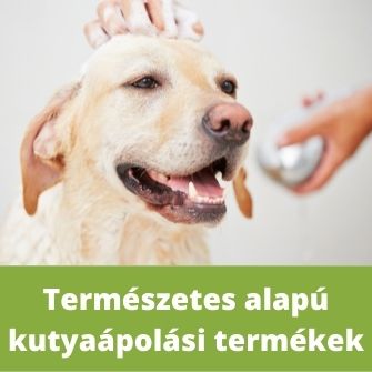 MancsMűvek.hu - Online kutyabolt