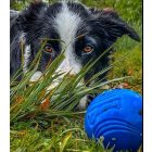 Chuckit! Strato Ball - A nagyot pattanő - M