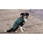 Kutya esőkabát kivehető béléssel -  több méret -Camon Budapest - 33