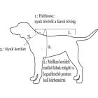 Kutyapulóver rénszarvas mintával - 40 cm