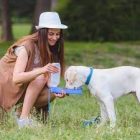 Mobil itató palack+tálka kutyának 500 ml - piros