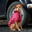 Vízhatlan kutyakabát - esőkabát kutyának- 33 cm - olasz