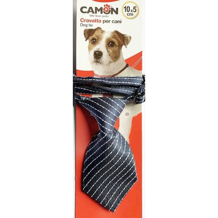 Nyakkendő kutyának 