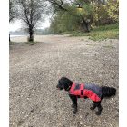 Vízhatlan kutyakabát-kutya esőkabát 25 cm Trixie