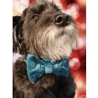 Karácsonyi kutya csokornyakkendő bársonyból, zöld